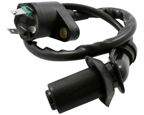 2EXTREME Zündspule inkl. Zündkerzenstecker für Peugeot Ludix 2, New Vivacity, Speedake, Speedfight 1-4, Squab, SV, TKR 50cc Roller (2-Pin, 12V, 30.000V, 2-Takt & 4-Takt)
