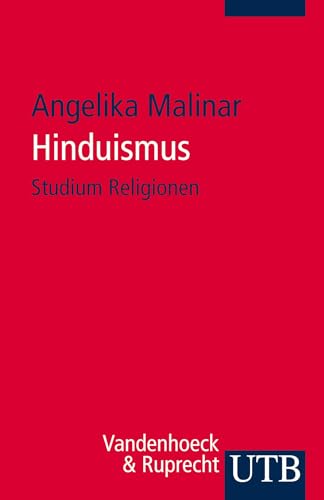 Hinduismus (Studium Religionen)