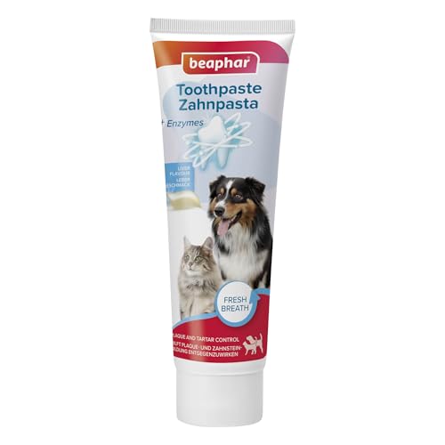 BEAPHAR - Zahnpasta Für Hunde Und Katzen - Schützt vor Plaque Und Zahnstein - Mit Leber-Geschmack - Ohne Fluoride - 100 g