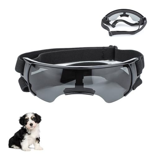 Winter Schneebrille für Hunde, Sonnenbrille für Kleine Hunde, Augenschutz Brille Windschutzbrille,UV-Schutz Hunde Sonnenbrillen,Beschlagfrei,für Motorrad Hundefahrradkorb Cabrio (Schwarz)