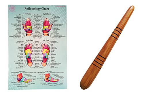 CCcollections Holztherapie-Massagewerkzeug-Set- Komplettes Reflexzonenmassage-Set für Profis- Ideal zur Entspannung, Schmerzlinderung und Selbstpflege mit natürlichen Massagewerkzeugen (Set A)