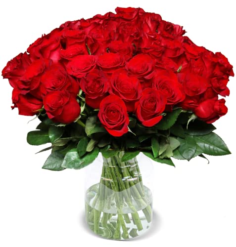 Rosenstrauß, 40 Rote Rosen, Frische Floristen Qualität, 40 cm Stiellänge, Schnittrosen, ca. 40cm - 50cm Durchmesser, Blumenversand