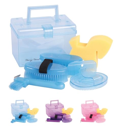 netproshop Mini Gift Box Putzbox mit verschiedenen Bürsten in gleicher Farbe ca.20x13x14cm, Farbe:Blau