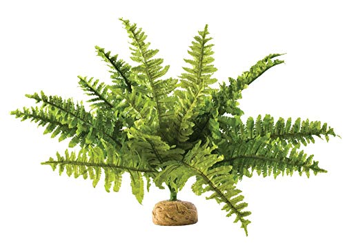 Exo Terra Boston Farn, künstliche naturgetreue Pflanze für Terrarien, ideal für Regenwaldterrarien, mittel