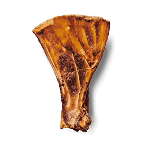 Irish Pure Premium Kauknochen vom Rind für Hunde | Roasted-Paddle-Bone | Vitamine | Premium | Getreidefrei | Sensitiv | Hundeknochen aus Irland (Roasted-Paddle-Bone)