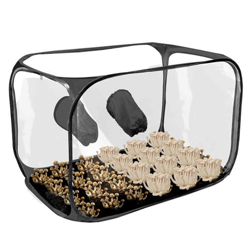 Mushroom Still Air Box,Still Air Box für Mushroom - Anzuchtstationen Growzelt-Set - Pop-up-Design, Faltbare Wachstumsbehälter, Gartenbauzubehör für Pilzexperimente