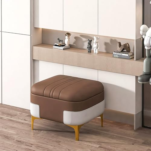 DSEWTEZXI Modern Wohnzimmer polsterbank stauraum schuhbank, Eingang gepolstert sitzbank schuhbank mit stauraum, Flur schuhschrank mit sitzfläche, Schlafzimmer schuhregal sitzbank, Bettende sitzbank.