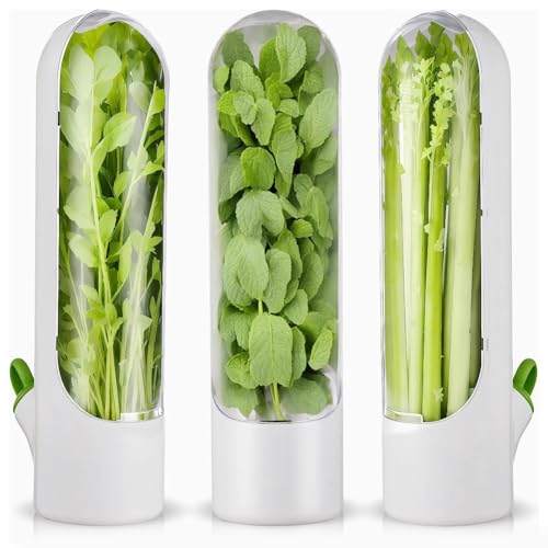 Kopinma 3 Pack Kräuterschoner für Den Kühlschrank, Kräuterfrischhalter für Den Kühlschrank, Aufbewahrung Kühlschrank, Produktsparbehälter für Kühlschrank Koriander, Petersilie, Spargel