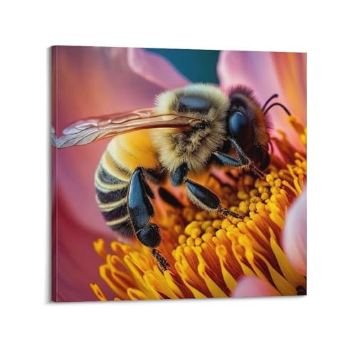 Poster mit Tierinsekten, Sulawesi-Biene, dekorative Leinwand, Wand- und Kunstposter, Gemälde, 60 x 60 cm