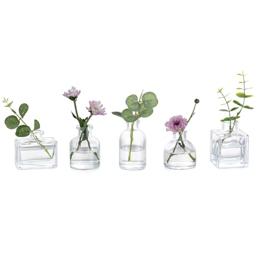 Kotkiddy Kleine Glas Blütenkelche, Mini Klare Vazen für Zentrumstücke, Niedliches Blumen-Vasen-Set von 5, Mini Vazen für Blumen, Dekorative Zentrumstücke Vazen