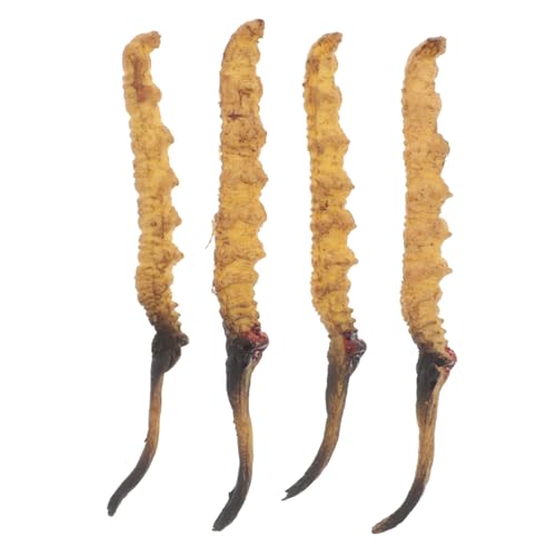 Supvox 4 Stück Teiliges Cordyceps Modell für Asiatische Medizinladen Dekorationen Realistische Nachbildung Seltener Heilpflanzen für Tcm Hersteller und Rollenspiel Requisiten