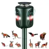 Katzenschreck Ultraschall Solar Tiervertreiber, 360° Marderschreck mit LED-Licht Katzenabwehr Marderabwehr Garten IP66 Wasserdicht 5 Modus Waschbär Abwehr für Katzen Hunde Marder Mäuse Vögel