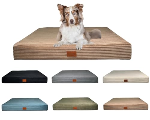 elropet Hundematte Cord orthopädisch/S, M, L, XL für alle Größen geeignet/Abziehbar und waschbar / 6 Cappuccino, L (100x70x10cm)