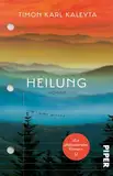 Heilung: Roman | »Der beste Roman des Frühjahrs« – DIE ZEIT