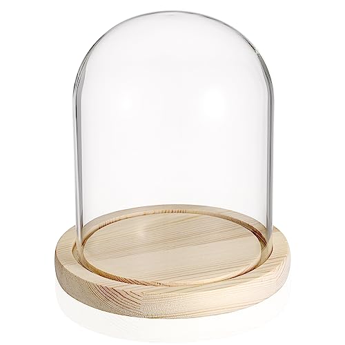 TOLIDA Natürlichen Glaskuppel mit Vintage-Holzsockel Robust Langlebig Dekorative Glasglocke Tischplatte Display für Lampe Kerze Rose Dekoration und Antiquität zu Weihnachten Geburtstage Valentinstag
