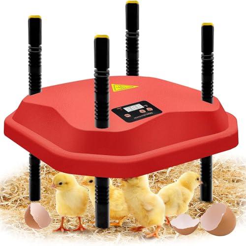 Küken Wärmeplatte,Kükenheizplatte,Küken-Wärmeplatte Comfort,25x25 cm I 220V I Wärmeplatte mit Verstellbarer Höhe und Winkel, mit temperturregler für alle Geflügelarten wie Hühner, Wachteln, Puten