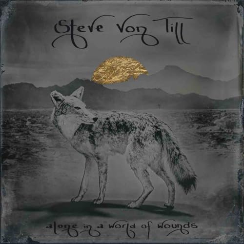 Alone in a World of Wounds (Lp) [Vinyl LP]
