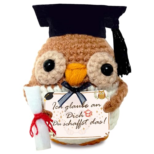 Bachelor Geschenk 2025, Glücksbringer Prüfung Geschenk, Schultüte, Gestrickte Eule, Pocket Hug Eule, Bachelor Master Abitur 2025, Positive Kartoffel Deutsch, Prüfung Bestanden, Positive Geschenke