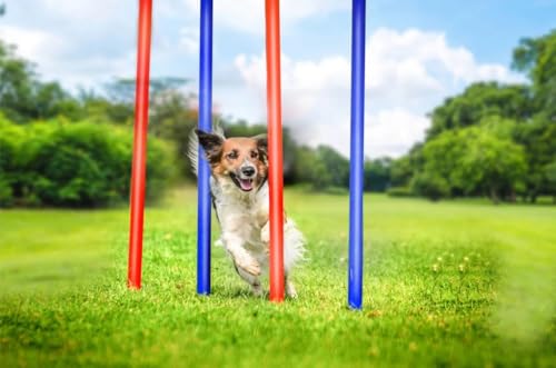 Generisch Hundehindernis-Set, Slalomstangen Hund, Komplettset 60x3cm 7 teilig