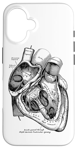 Hülle für iPhone 16 Anatomische menschliche Herz-medizinische Anatomie-Weinlese