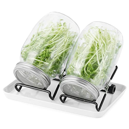 DUNSOO Sprossenglas Set | 2er-Set 1000ml Keimglas mit Deckeln und Haltern und Schalen | Sprossengläser für die Sprossenzucht und Keimung von Samen (2er-Set)