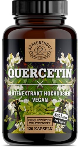 Quercetin 1000mg pro Tagesdosis - WICHTIG: 25:1 Extrakt (25000mg japanischer Schnurbaum je Dosis) I Quercetin Hochdosiert I 120 Stk I Quercetin 500mg je Kapsel -DE- SCHEUNENGUT®