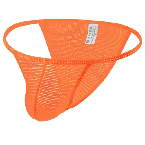 String Tanga Sexy Dünn Männer - Netz Unterwäsche Mesh Weich Unterhosen Transparent Reizwäsche Gay Unterhosen Erotische Wäsche Sissy Atmungsaktiv Tangaslip Bequeme Underwear Clubwear Lover Geschenk