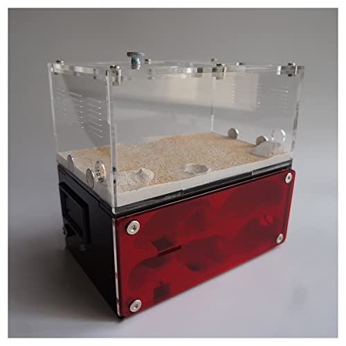 Ameisenfarm Ameisenfarm Aus Beton, Ameisennest Mit Fressplatz, Große Flache Ameisenfarm, Großes Ameisenhaus Und Werkstattschloss 15 X 13,5 X 10cm