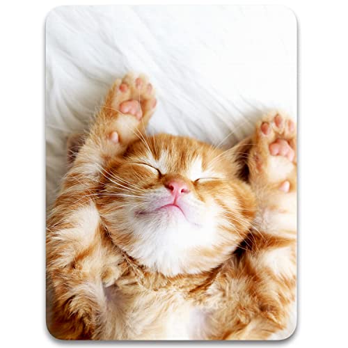 Dapesuom kleines Mauspad, 15,2 x 20,3 cm, mit Rutschfester Gummiunterseite, wasserdichtes Mini-Mauspad für Damen, Herren, kabellose Maus Laptops, Büro, Reisen, Zuhause, Katze