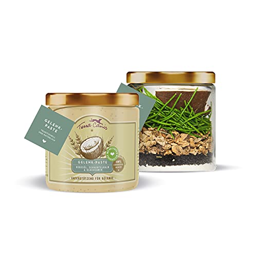 Terra Canis Gelenk-Paste mit Kokosöl, Kollagen, Glucosamin, Schachtelhalm & Teufelskralle, 250ml I Premium Hunde-Nahrungsergänzung zur Unterstützung eines gesunden Bewegungsablaufes