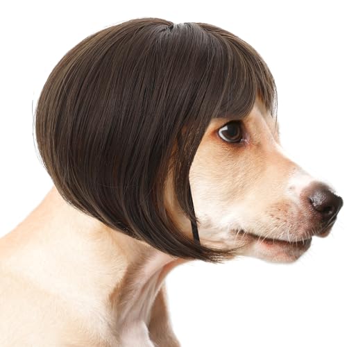 Molain 1 Stück Haustier Perücken mit verstellbaren Riemen, Lustige Hunde Katzen Cosplay Perücke Hundekostüm Weihnachten Perücken Band für Kleine Mittelgroße Hunde Perücken Weihnachten Dekorationen