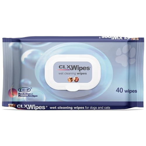CLX Wipes - 40 Stück