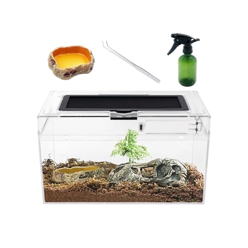 Mini Reptil Terrarium Set,12 "x 7" x 6" niedriges Reptilienbecken mit voller Sicht optisch ansprechend, für Insekt, Fisch, Tarantel, Einsiedlerkrebs, Springspinne, Leguan, Schildkröte, Leopard Gecko