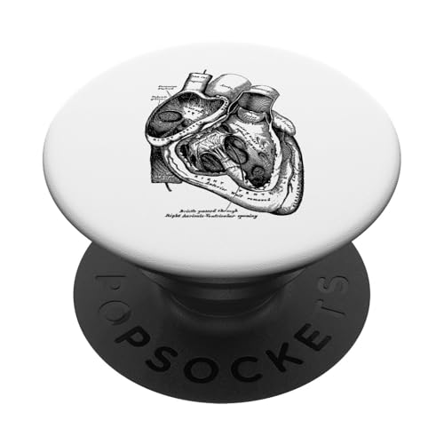 Anatomische menschliche Herz-medizinische Anatomie-Weinlese PopSockets PopGrip: Ausziehbarer Sockel und Griff für Handys/Tablets mit Tauschbarem Top PopSockets Klebender PopGrip