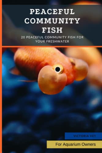 Peaceful Community Fish: 20 Peaceful Community Fish for Your Freshwater