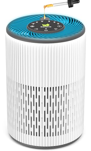DAYETTE Portable Luftreiniger Allergiker mit Aroma, Nachtlicht, Timer, Ruhemodus (20 dB), HEPA Luftfilter gegen Schimmel, Staub, Pollen, Gerüche, Tierhaaren, Air Purifier