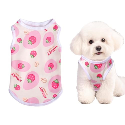 DIELOVEHUA Hundekleidung, Sommer Weiche Atmungsaktive Welpenweste, Niedliche Erdbeerdruck Hunde-T-Shirt, Rosa Hemd für kleine Hunde und Katzen Haustier, M
