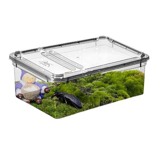 2,5×19×7,5 cm Mini Terrarium Box Fur Reptilien Tragbarer Reptil Fütterungsbox Reptilien Terrarium Box Reptilien Futterbox Transparent Insekten Futterbox Reptilien Aufzuchtbox Für Spinnen, Eidechse