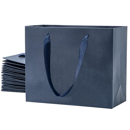SEECGOO Königsblaue Geschenktüten mit Griffen, 12 Stück Papiergeschenktüten Mittlerer Größe, Wiederverwendbare Blaue Einkaufstüten für Weihnachten, Geburtstag, Hochzeiten, 22 x 10 x 18 cm