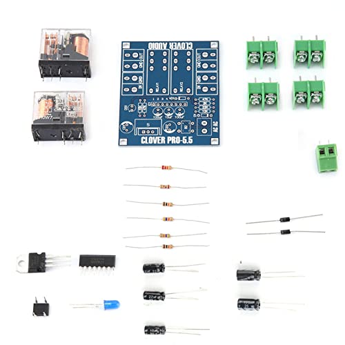 YWBL-WH Lautsprecher Schutzplatine Modul DIY Kit AC 12V-24 V Dual Relais Spannungsregler
