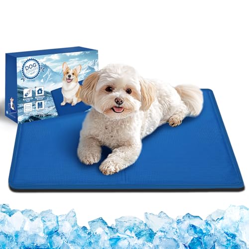 Bamda kühlmatte Hund 65x50cm.Sofortige Selbstkühlende Matte für Hunde, ungiftiges Gel, langlebige Kratzfeste Oberfläche, Haustier Kühlpad für Kisten und Betten Perfekt für heißen Sommer【M】