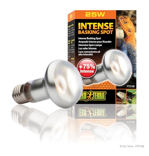 Exo Terra Intense Basking Spot, Wärmespotlampe, R20, 25W, Fassung E27, 1 Stück (1er Pack)