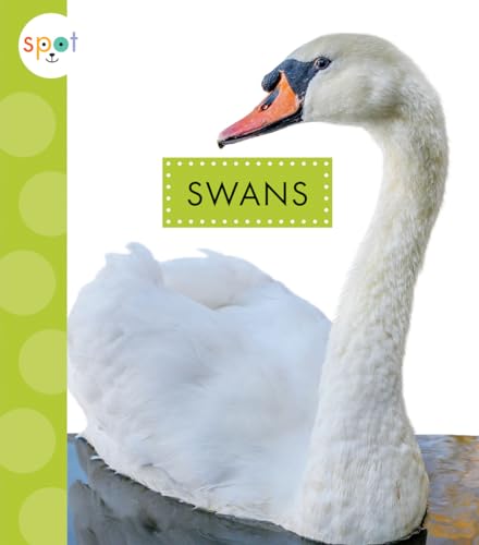 Swans (Spot Big Birds)