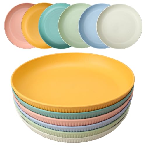 HQCM 6 Stück Wiederverwendbar Plastikteller, 23cm Groß Campingteller Unzerbrechlich Picknick Geschirr Plate Set, Mehrweg Mikrowelle Spülmaschinenfest Tief Bunte Grillteller für Outdoor Home