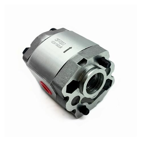 MLYHQFMV Hydraulikölpumpen CBT-F203.0 Kleine Zahnradpumpe, seitlich nach innen, nach außen, Drehung: im Uhrzeigersinn
