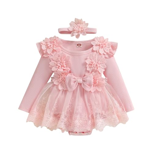 Säugling Baby Mädchen Spitze Tüll Kleid Blumenstickerei Cake Smash Strampler Kleid und Stirnband Meine erste Geburtstagsfeier Outfits Prinzessin Fotoshooting Kleider (Hellrosa, 0-3 Monate), hellrosa,
