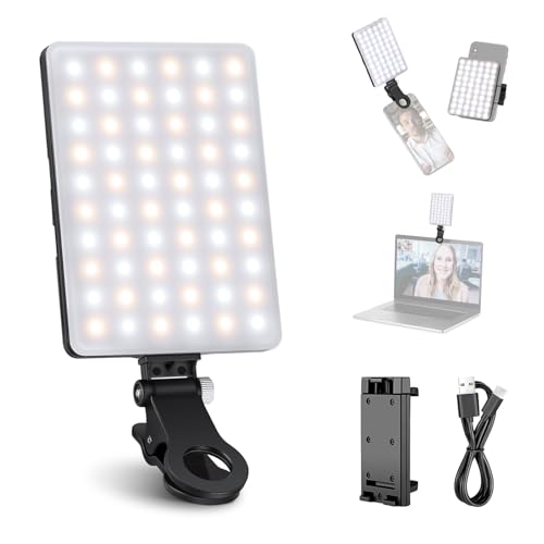 NEEWER Basic Clip On Selfie Licht kompatibel mit iPhone, 2000mAh wiederaufladbares LED Videolicht mit Handy Clamp für Computer Webcam, Laptop, Zoom Videokonferenzen, Make up Fotografie, NL-60AI