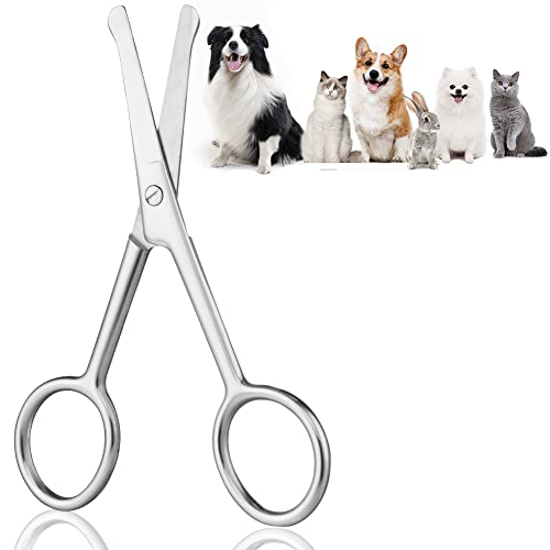 Adiwo Hundehaarschere Fellschere,10.5cm Aus Edelstahl Fellschere Pfotenschere Abgerundete Schere Hund Pfotenschere für Hunde Haustierschere Schere Hundehaare Schneiden für eine perfekte Fellpflege