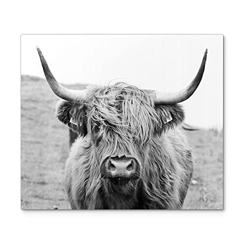 DEQORI Herdabdeckplatte Glas | einteilig 60x52 cm | Motiv "Zotteliges Hochlandrind" | Ceranfeld Abdeckplatte für Küche | Herd-Abdeckung universal | Glasplatte & Schneidebrett für Kochplatten