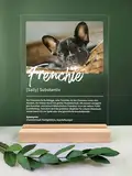 Frenchie Geschenk personalisiert - Acryl Geschenk - Definition: Frenchie - Frenchie Geschenke, Frenchie Deko, Frenchie Geschenk, Geschenk für Frenchie Halter